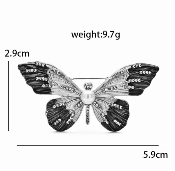 Sunset butterfly