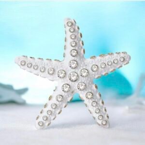 White starfish - Image 1