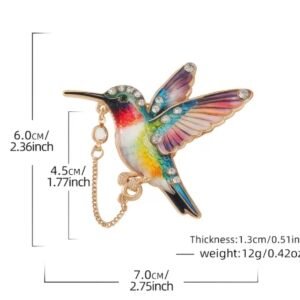 Rainbow hummingbird - Image 2
