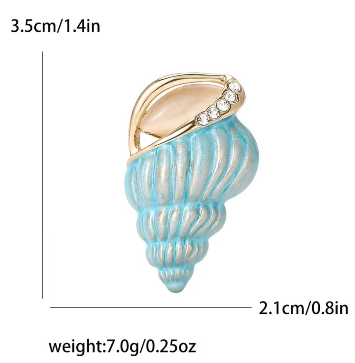 Aqua shell - Image 2