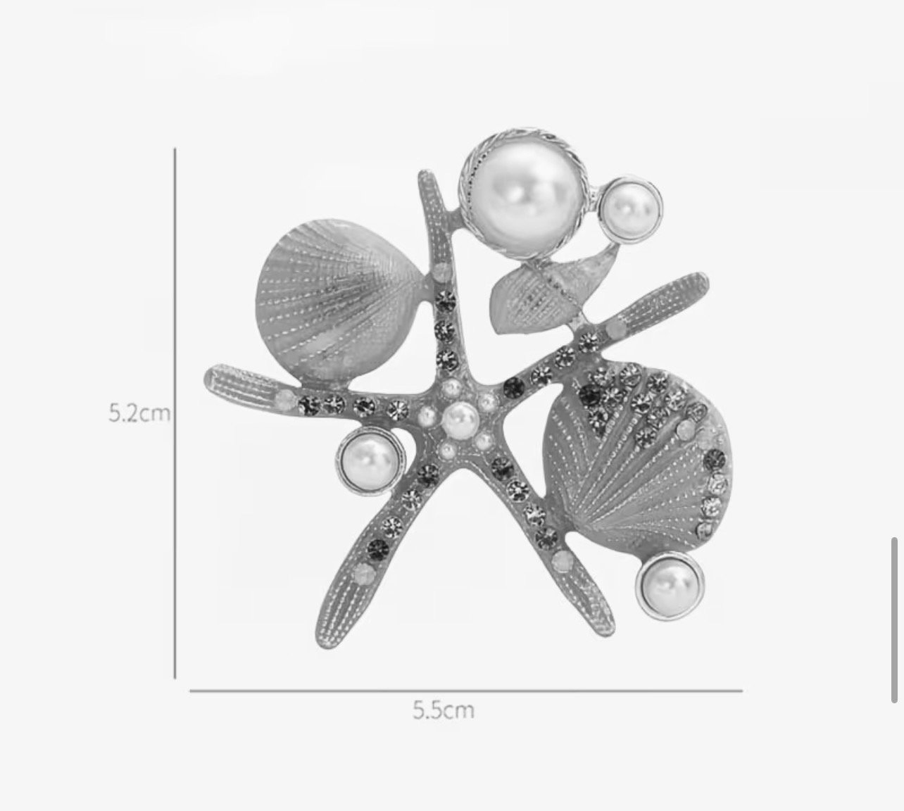 Pearl reef starfish - Image 2