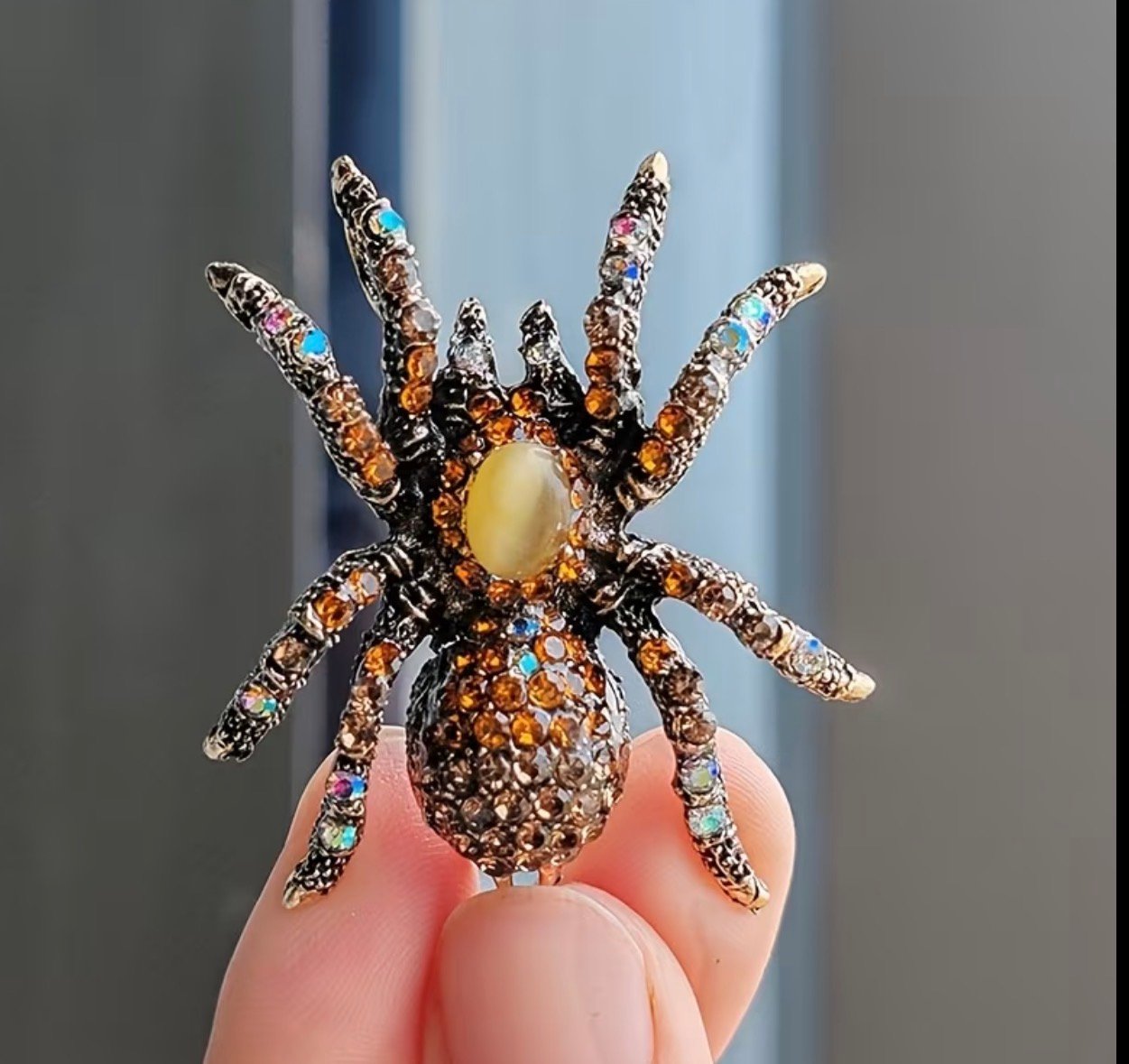Sunset spider - Image 1