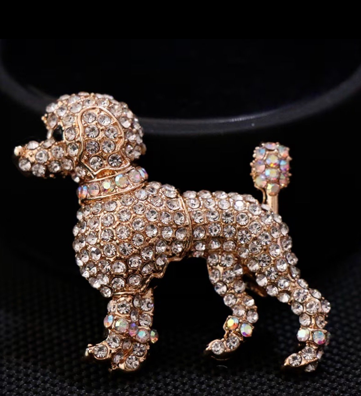 Posh poodle - Image 1