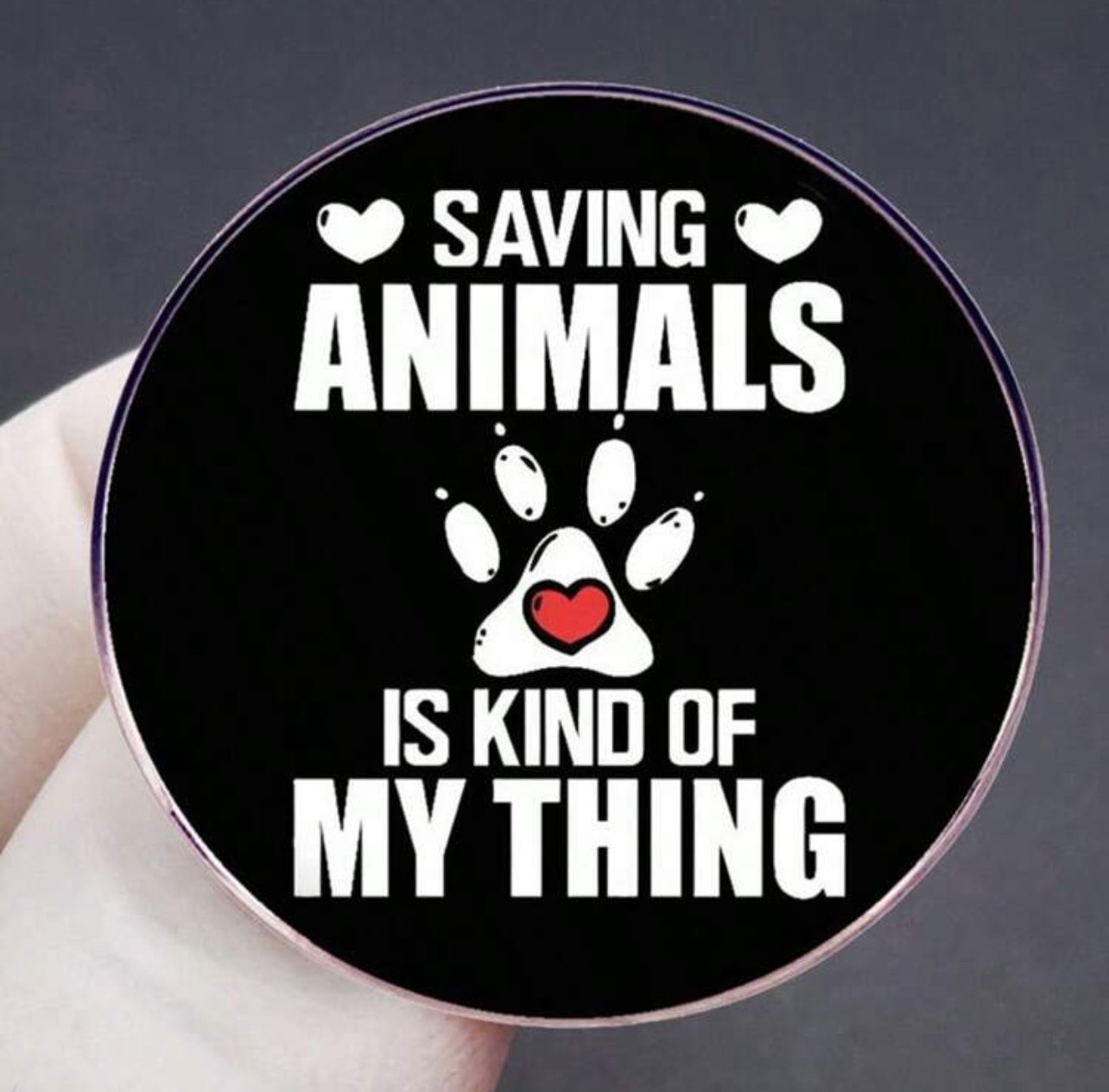 Saving animals is kind of my thing - Image 1
