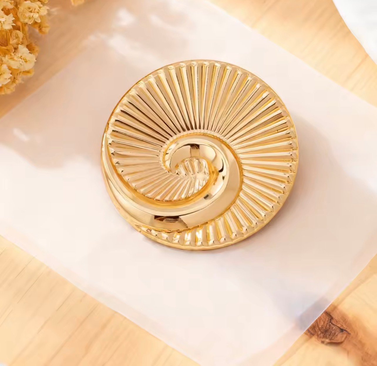 Golden Nautilus - Image 2