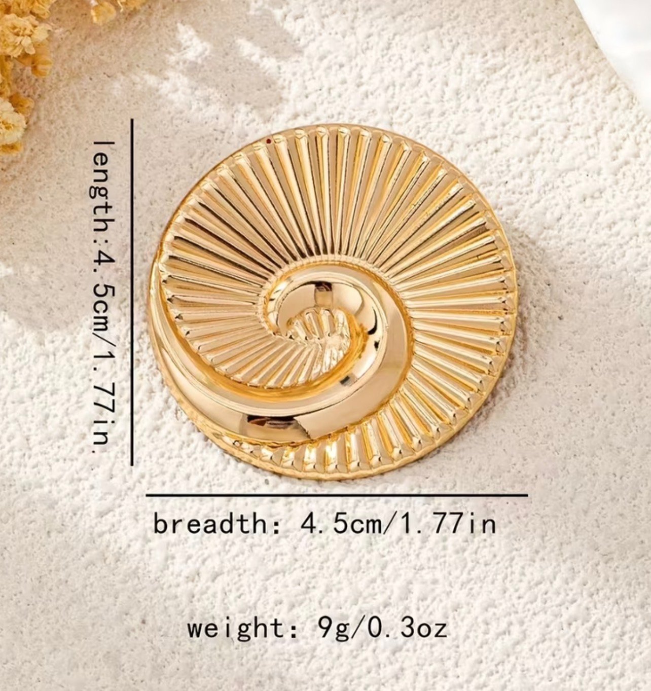 Golden Nautilus - Image 3